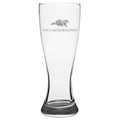 Meteorology Gift Weather Science Pilsner Glass Not A Meteorologist Funny Groundhog Beer Glass Graphic Tee – Aesthetic Look · Perfect For Daily Wear