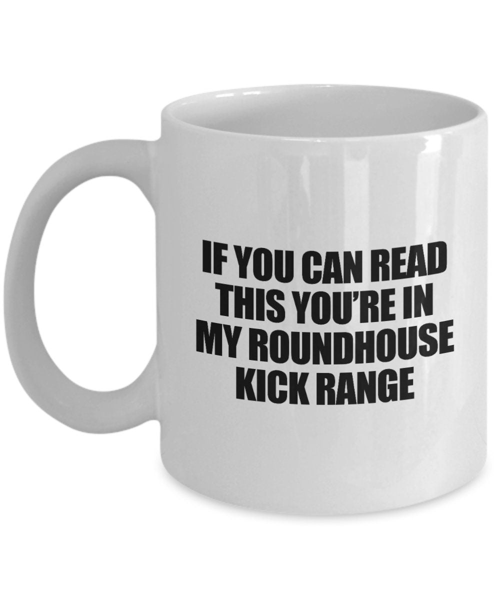 Martial Arts Coffee Mug Muay Thai Gift Idea Karate Mug Martial Artist Gift Roundhouse Kick Range Graphic Tee – Easygoing Wear · Perfect For Daily Wear