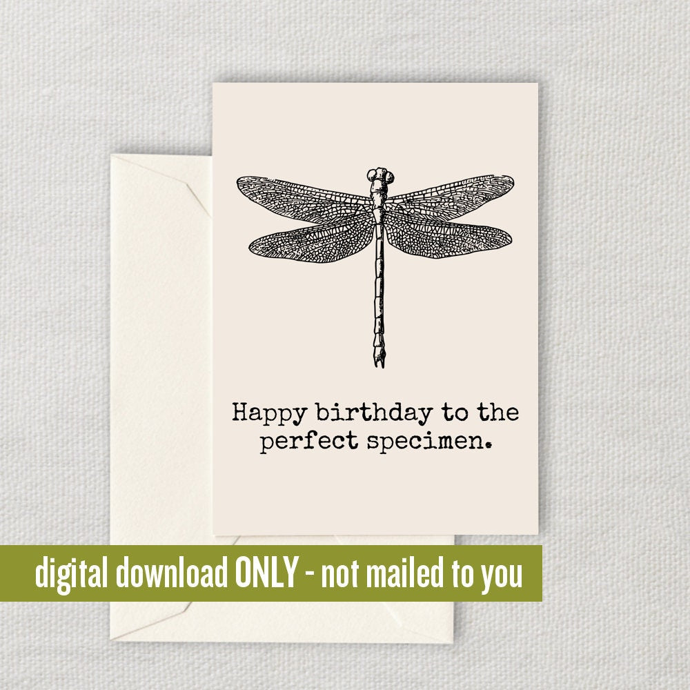 Entomologist Birthday Card Entomology Greeting Card Insect Collector Card Perfect Specimen Digital Download Printable Card Graphic Tee – Fan Favorite · High-Quality Print
