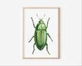 Jewel Beetle Art Print Graphic Tee – Feel-Good Design · Perfect For Daily Wear