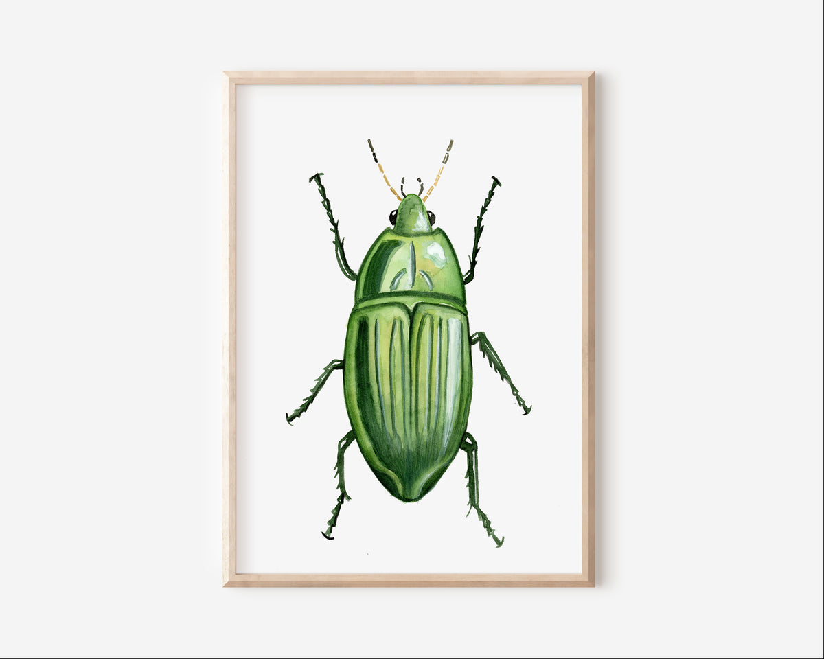 Jewel Beetle Art Print Graphic Tee – Feel-Good Design · Perfect For Daily Wear