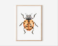 Lady Beetle Art Print Graphic Tee – Aesthetic Look · Top Pick For Any Outfit