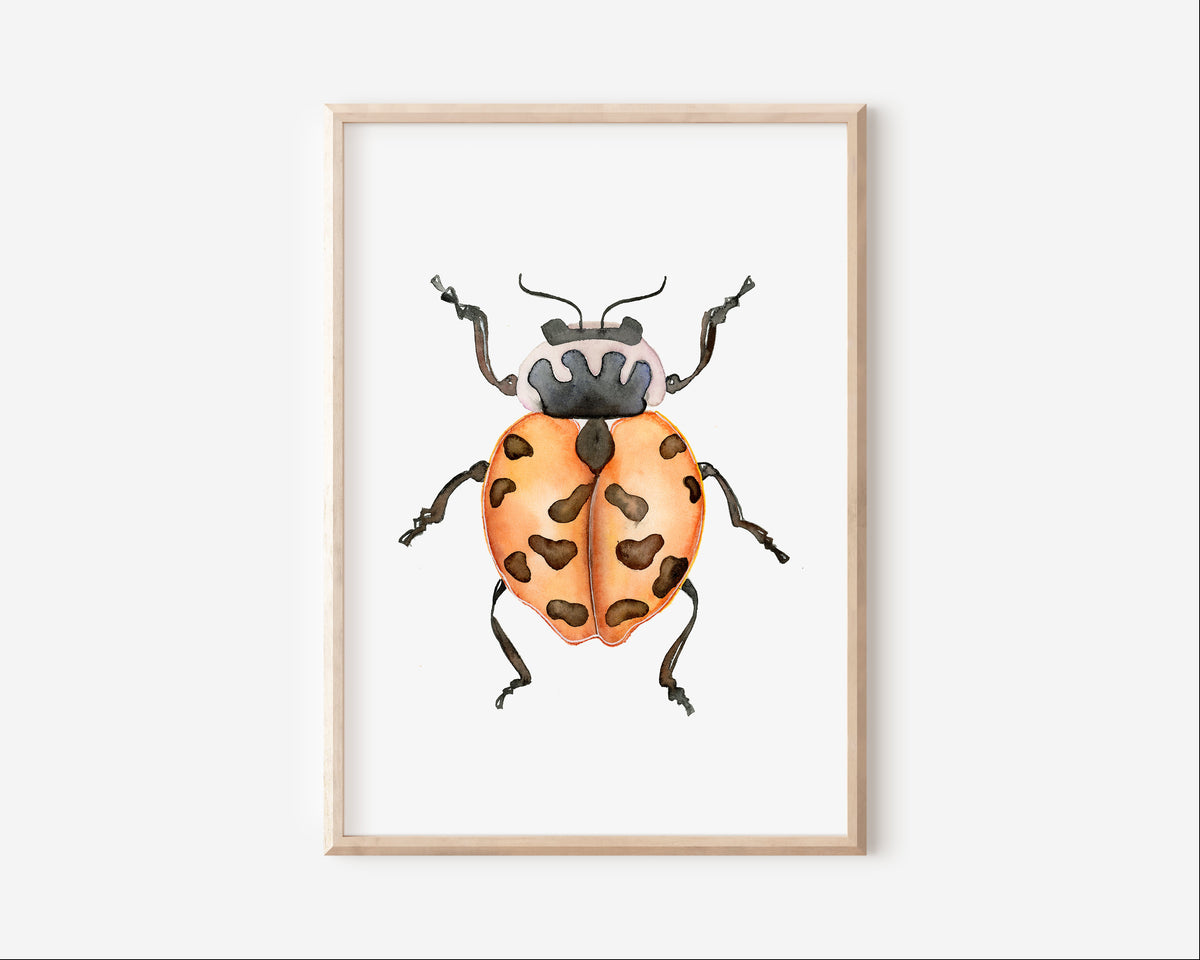 Lady Beetle Art Print Graphic Tee – Aesthetic Look · Top Pick For Any Outfit