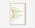 Luna Moth Art Print Graphic Tee – Everyday Comfort · Great Gift For Fans