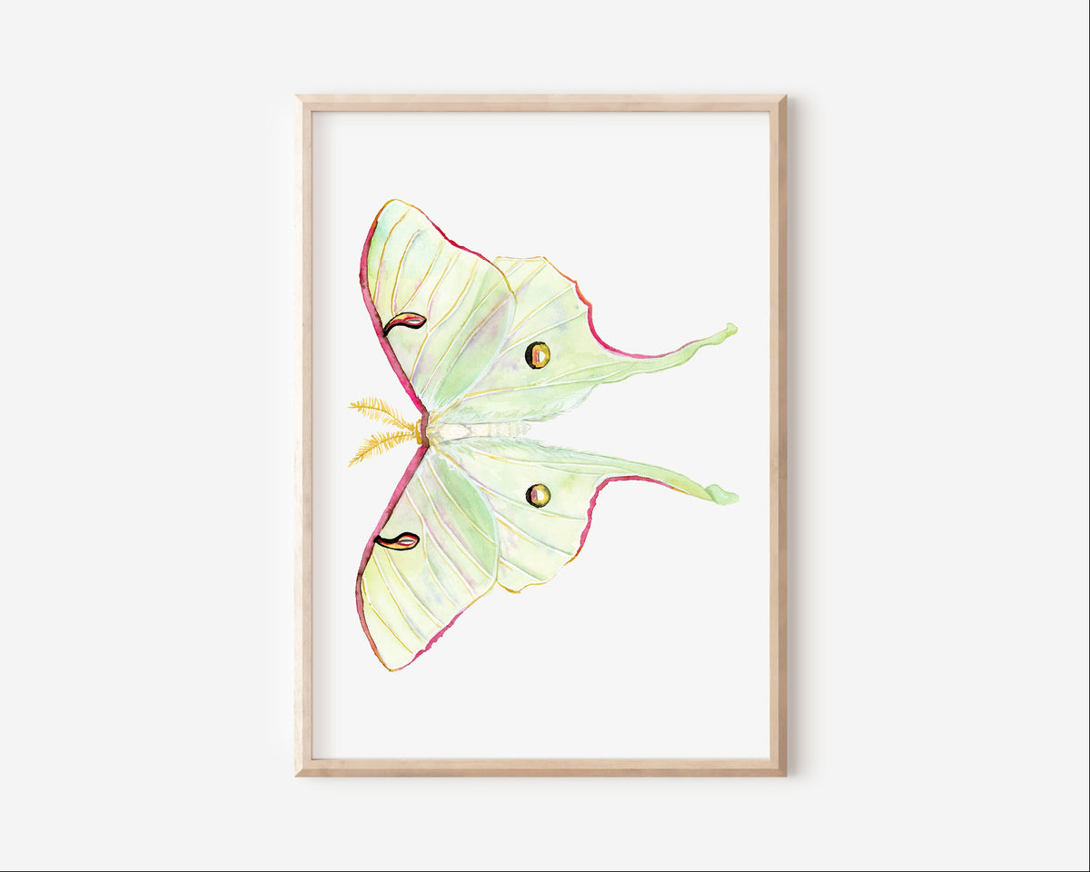 Luna Moth Art Print Graphic Tee – Everyday Comfort · Great Gift For Fans