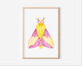 Pink Moth Art Print Graphic Tee – Premium Graphic · Perfect For Daily Wear