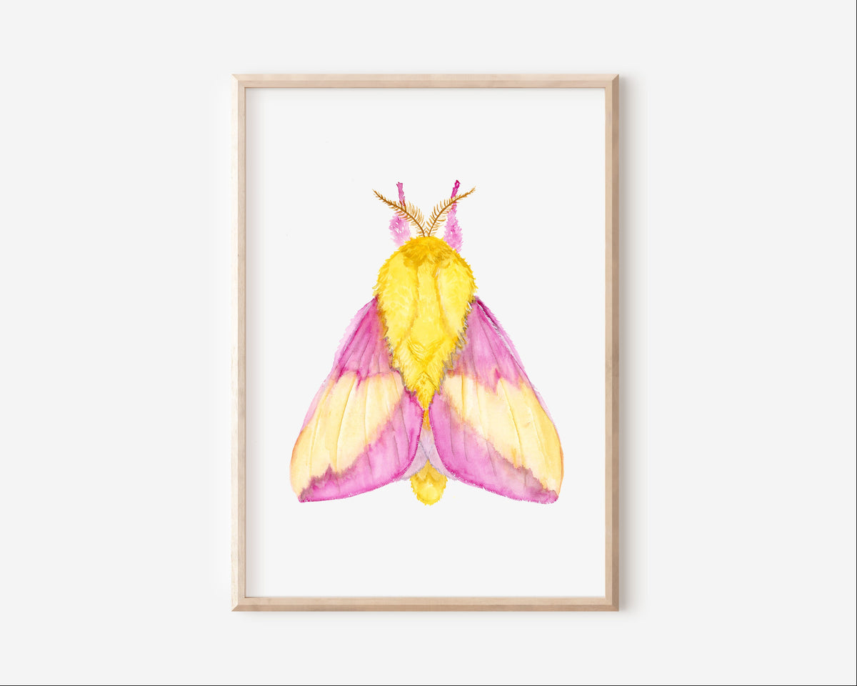 Pink Moth Art Print Graphic Tee – Premium Graphic · Perfect For Daily Wear