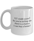 Funny Loan Officer Gift Loan Office Coffee Mug Loan Officer Present 527 Credit Score Graphic Tee – Everyday Comfort · Perfect For Daily Wear