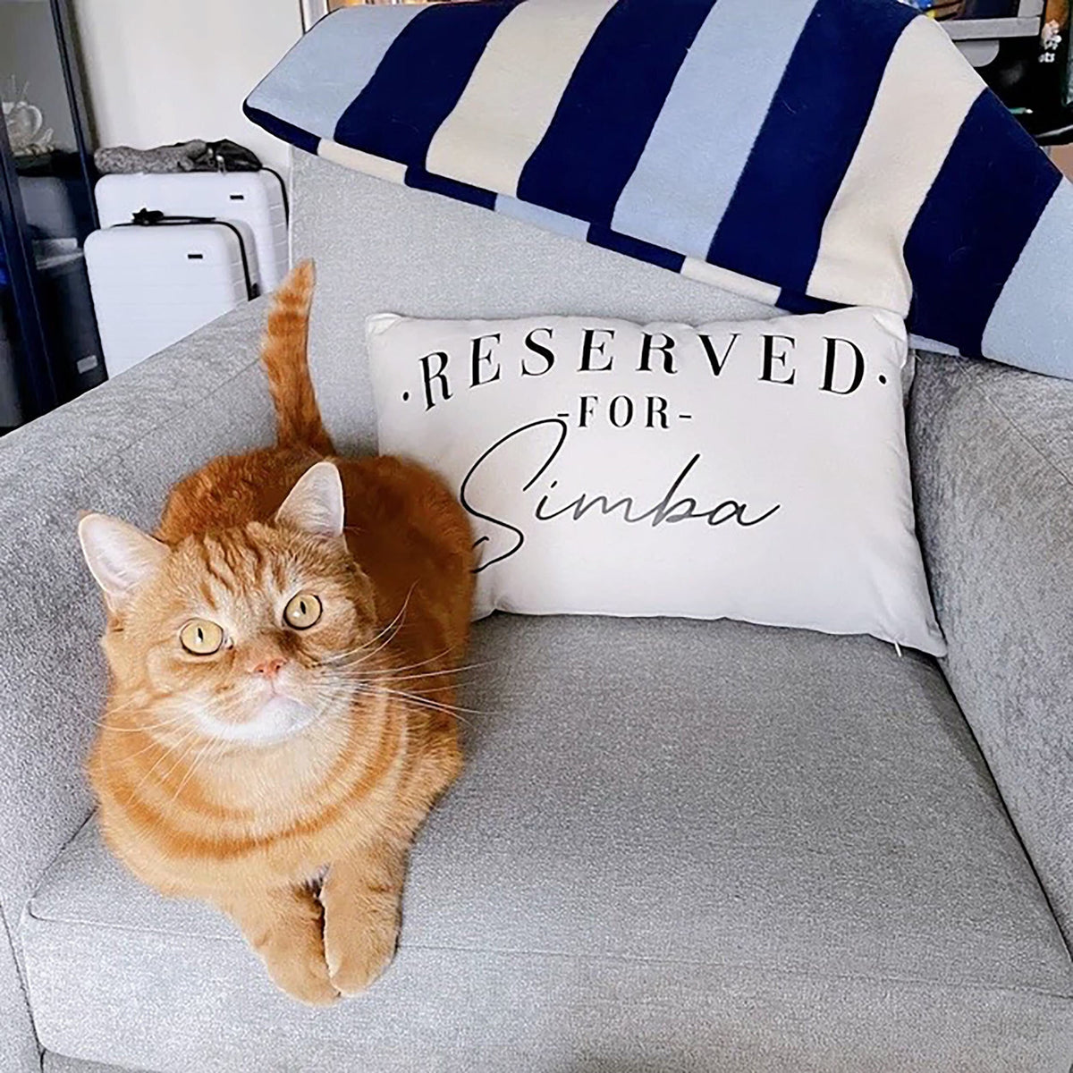 Personalized Cat Pillow Case Reserved For The Cat Cushion Cover For Cats Bed Personalised Cat Cushion Covers For Cats Graphic Tee – Bold Style · High-Quality Print