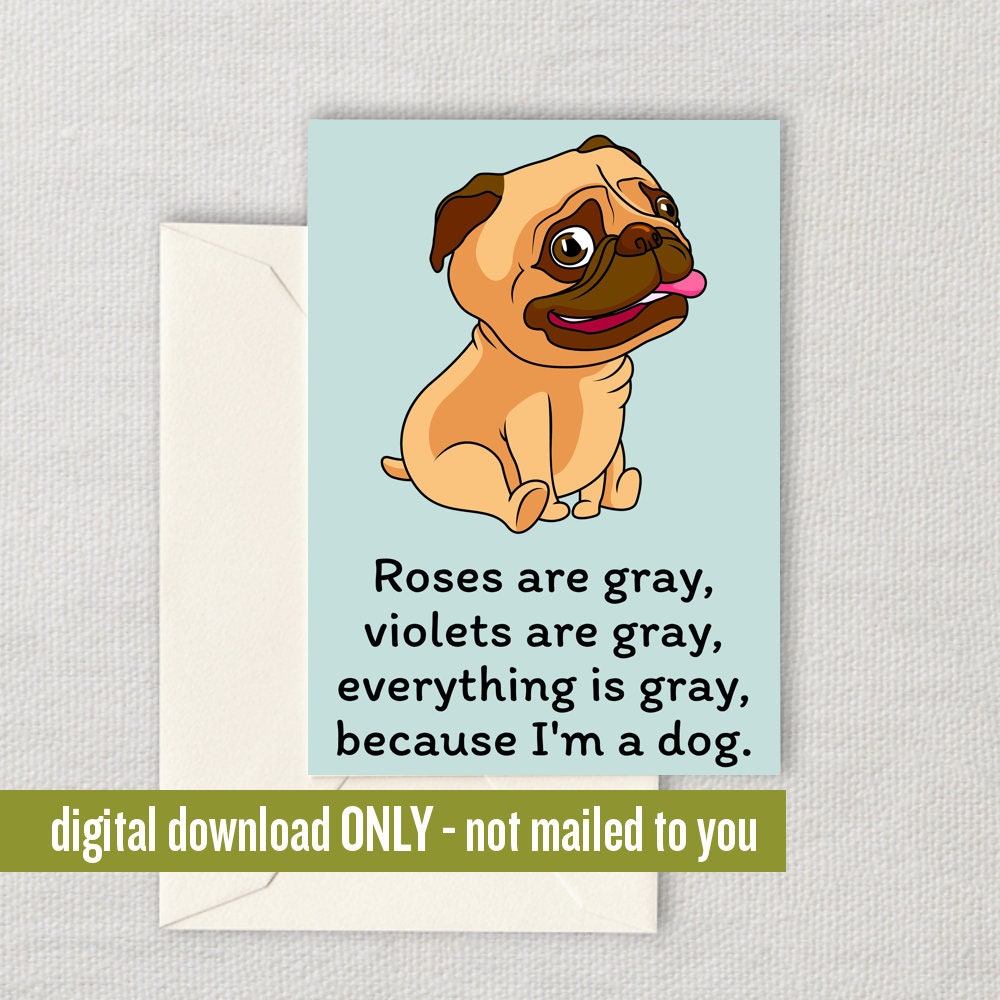 Veterinarian Valentine Dog Lover Valentine Card Pug Owner Printable Card Pug Cards Roses Are Gray Vet Tech Gift Digital Download Graphic Tee – Warm & Stylish · Top Pick For Any Outfit