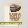 Cute Geologist Greeting Card Geology Printable Card Funny Geologist Gift You39re Gneiss Geology Nerds Digital Download Graphic Tee – Premium Graphic · Must-Have Style