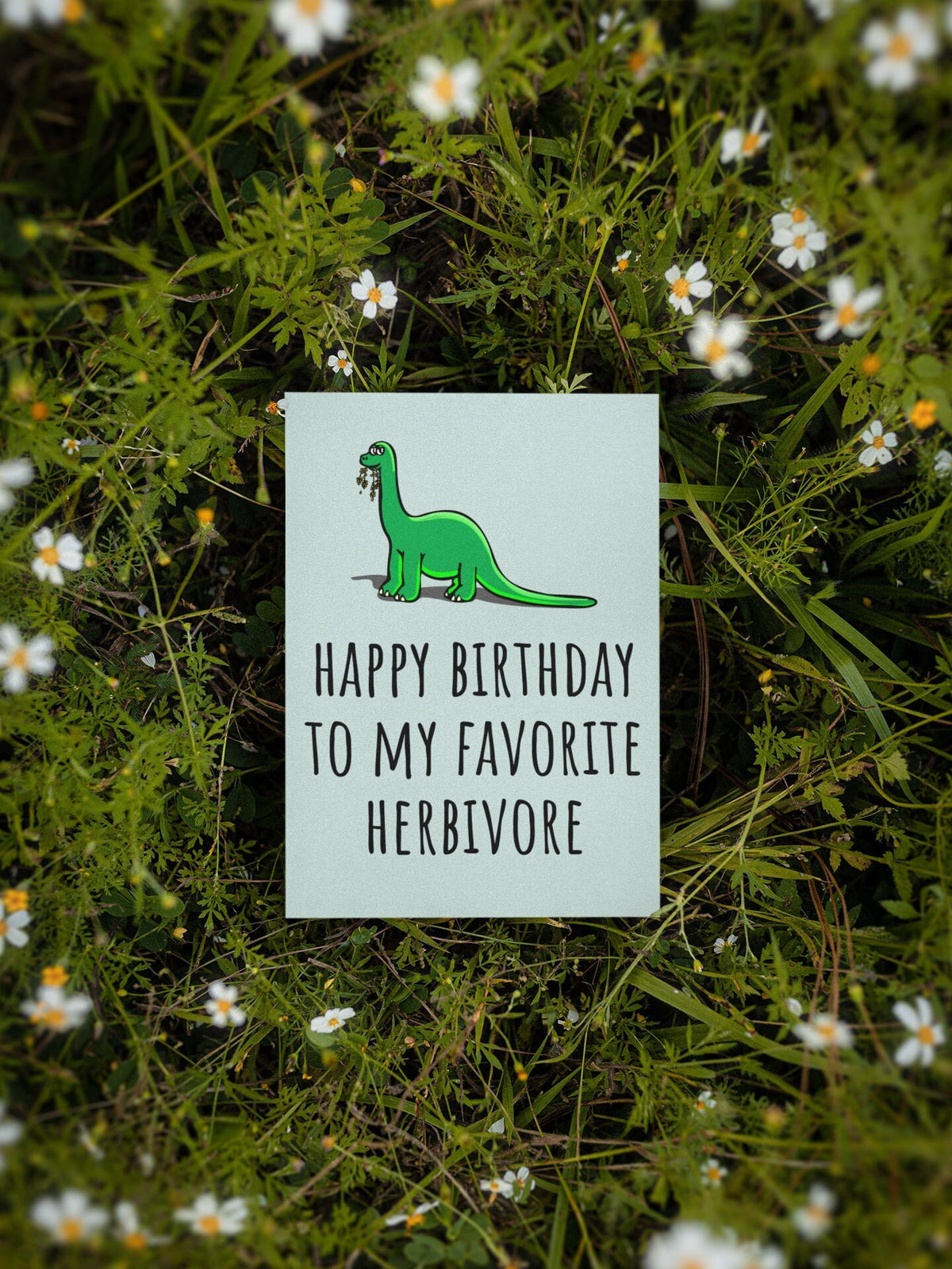 Vegan Printable Birthday Card Vegetarian Birthday Card Funny Vegan Printable Card Vegan Birthday My Favorite Herbivore Last Minute Graphic Tee – Premium Graphic · Must-Have Style