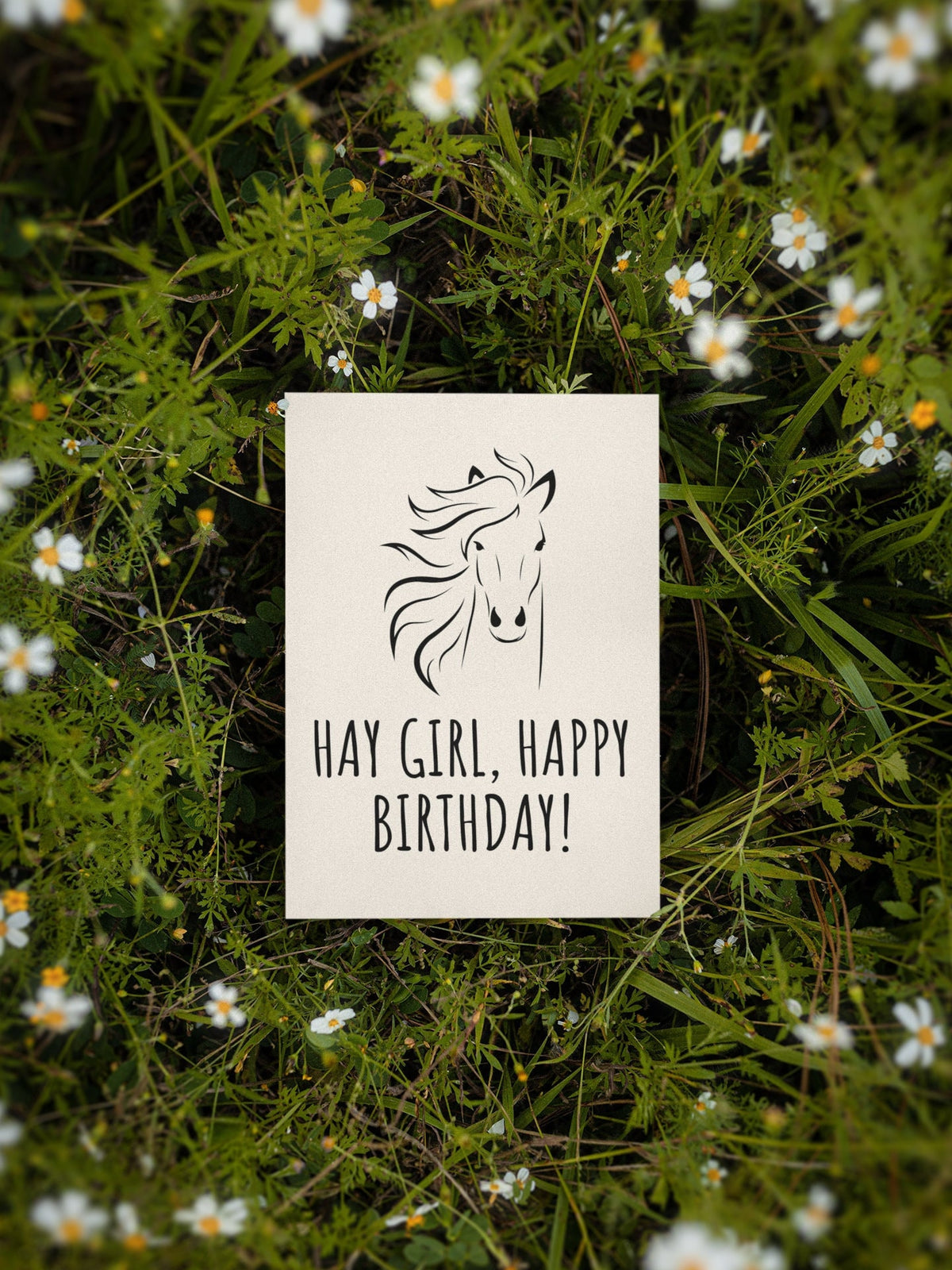 Printable Horse Lover Birthday Card Equestrian Birthday Card Funny Horse Birthday Card Hay Girl Last Minute Card Graphic Tee – Feel-Good Design · Great Gift For Fans