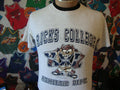 Vintage 9039s RICKS College Looney Tunes Taz Tasmanian Devil Athletic Department T Shirt S Graphic Tee – Aesthetic Look · Perfect For Daily Wear