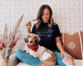 Dachshund Shirt Sausage Dog Shirt Grey Dachshund TShirt I Love My Dachshund TShirt Graphic Tee – Soft Feel · Top Pick For Any Outfit
