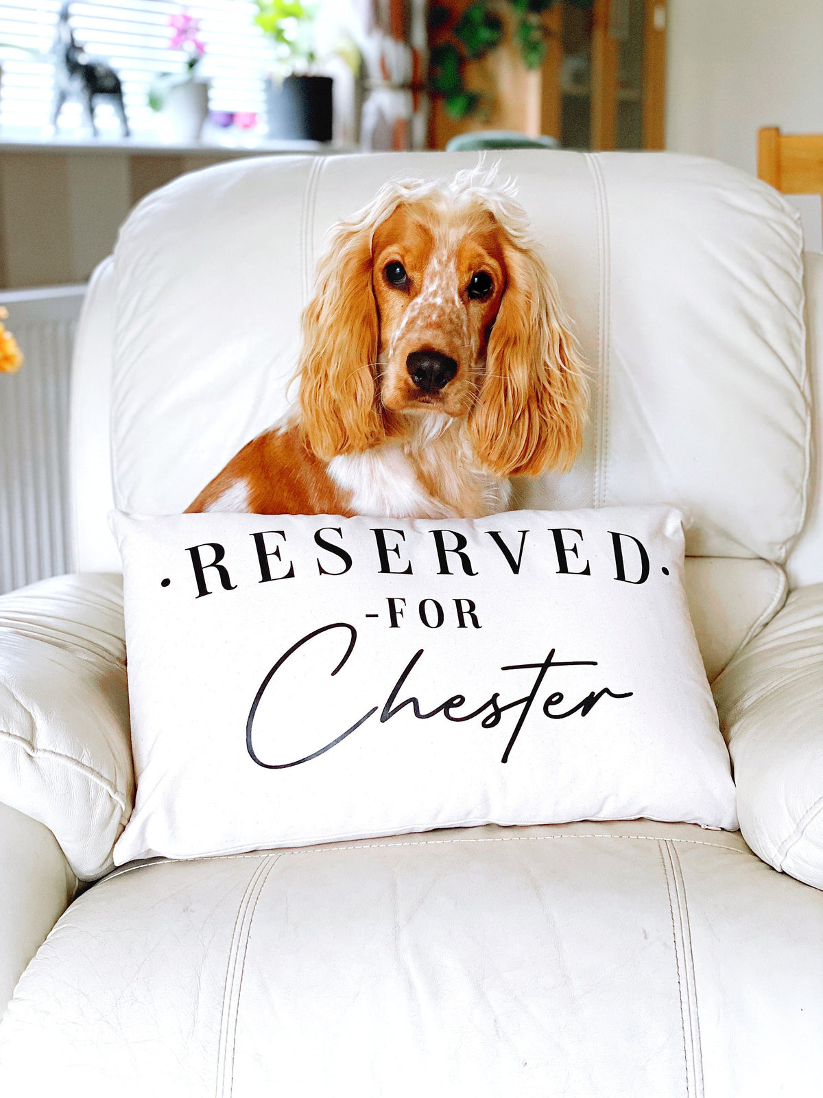 Cocker Spaniel Dog Pillow Case Reserved For The Dog Cushion Cover Springer Spaniel Dog Cushion Cover King Charles Spaniel Gifts Graphic Tee – Aesthetic Look · High-Quality Print