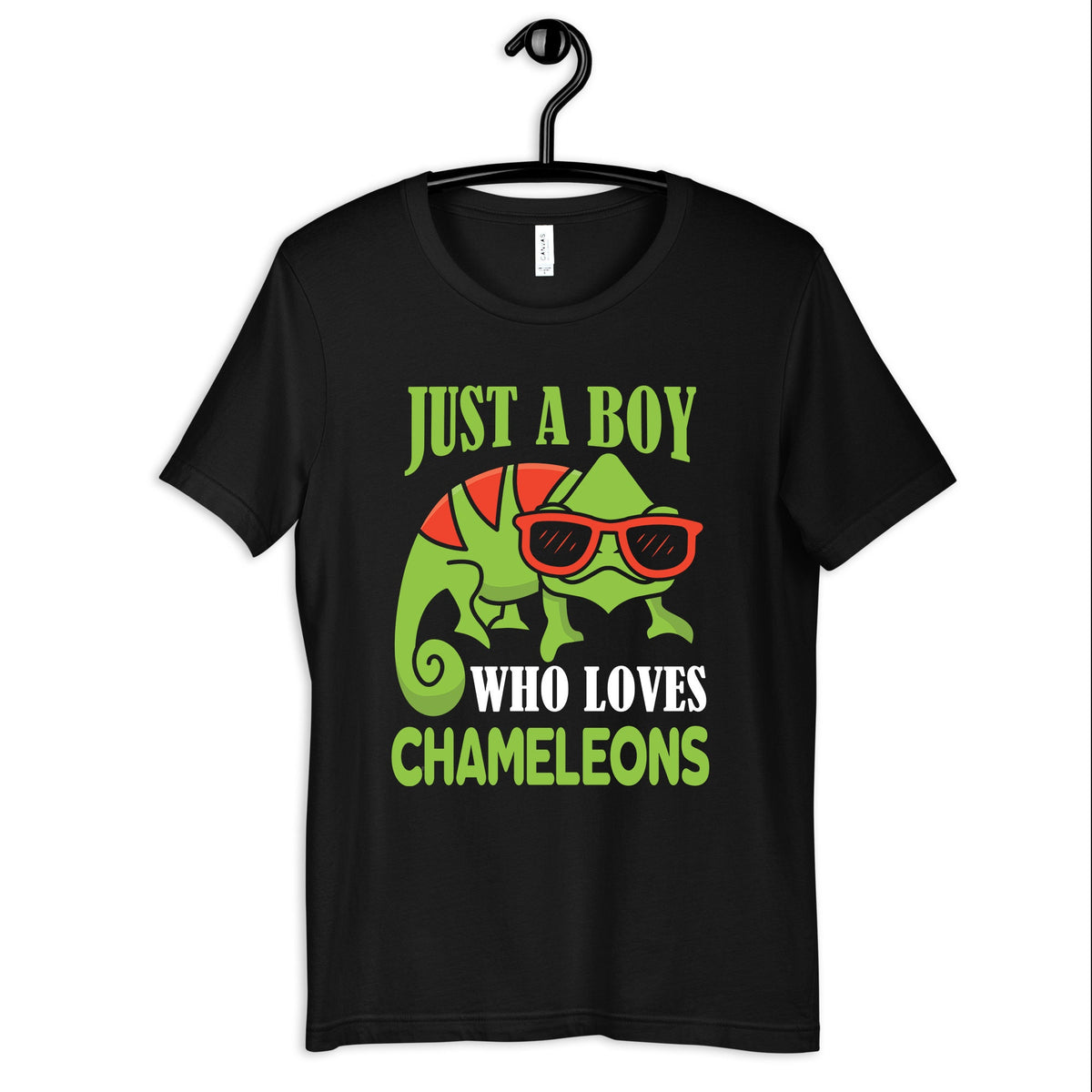 Boy Who Likes Chameleons TShirt Funny Chameleon Kids Tee Lizard Reptile Hoodie Toddler Shirt Hoodie – Everyday Comfort · Trending Graphic Apparel