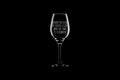 Funny Sarcasm Gift Sarcasm Wine Glass INTJ Gift Idea Behold The Field Of Fucks I Give Etched Wine Glass Wine Sarcasm Gift Graphic Tee – Everyday Comfort · Must-Have Style