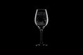 Manatee Wine Glass Manatee Gift Present For Manatee Lovers I Just Really Like Manatees Graphic Tee – Everyday Comfort · Great Gift For Fans
