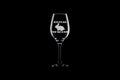 Funny Rabbit Wine Glass Bunny Rabbit Lover Gift Pet Rabbit Owner Present Mess With Bun Your Time Is Done Graphic Tee – Bold Style · Top Pick For Any Outfit