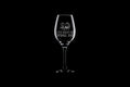 Funny Capybara Wine Glass Capybara Lover Gift Idea Capybara Gift I Just Really Like Capybaras Okay Graphic Tee – Everyday Comfort · Must-Have Style