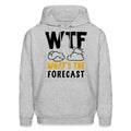 Meteorologist Hoodie Meteorologist Gift Meteorology Gift Meteorology Hoodie Funny Meteorology Weather Forecaster Weather Hoodie OH1135 Hoodie – Soft Feel · Trending Graphic Apparel