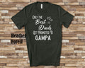 The Best Dads Get Promoted to Gampa Grandpa Tshirt Special Grandfather Gift Idea for Father39s Day Birthday Christmas or Pregnancy Reveal Graphic Tee – Feel-Good Design · High-Quality Print