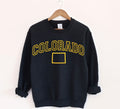 Embroidered USA State Sweatshirt Personalized States Map Sweatshirt New York Crewneck Texas Crewneck ALL States Map EmbroideryChristmas Sweatshirt – Easygoing Wear · High-Quality Print