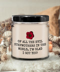 Stepmother Candle Gift Funny Stepmom Candle Step Mother Gift Step Mom Preset Mother39s Day Evil Stepmothers Graphic Tee – Fan Favorite · Perfect For Daily Wear
