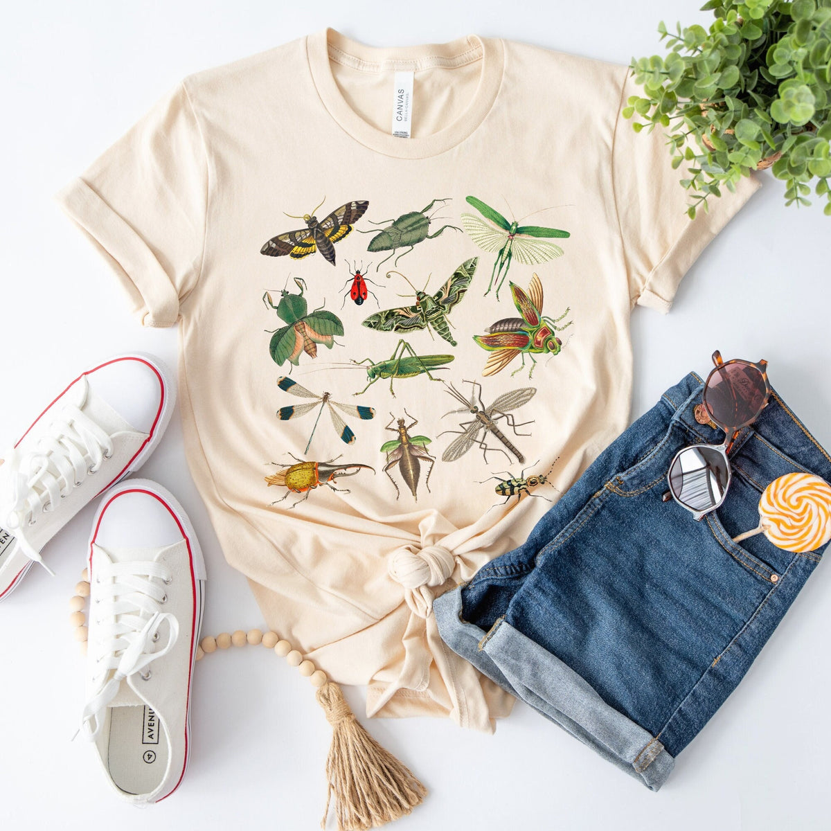 Insect Shirt Bug Shirt Entomology Shirt Moth Shirt Bug Lover Shirt Entomologist Gift Nature Shirt Forestcore Shirt Insect Lover Gift Graphic Tee – Premium Graphic · Great Gift For Fans