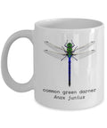 Entomology Coffee Mug Insect Collector Gift Entomologist Present Dragonfly Mug Bug Lover Gift Common Green Darner Graphic Tee – Cozy Vibes · Trending Graphic Apparel
