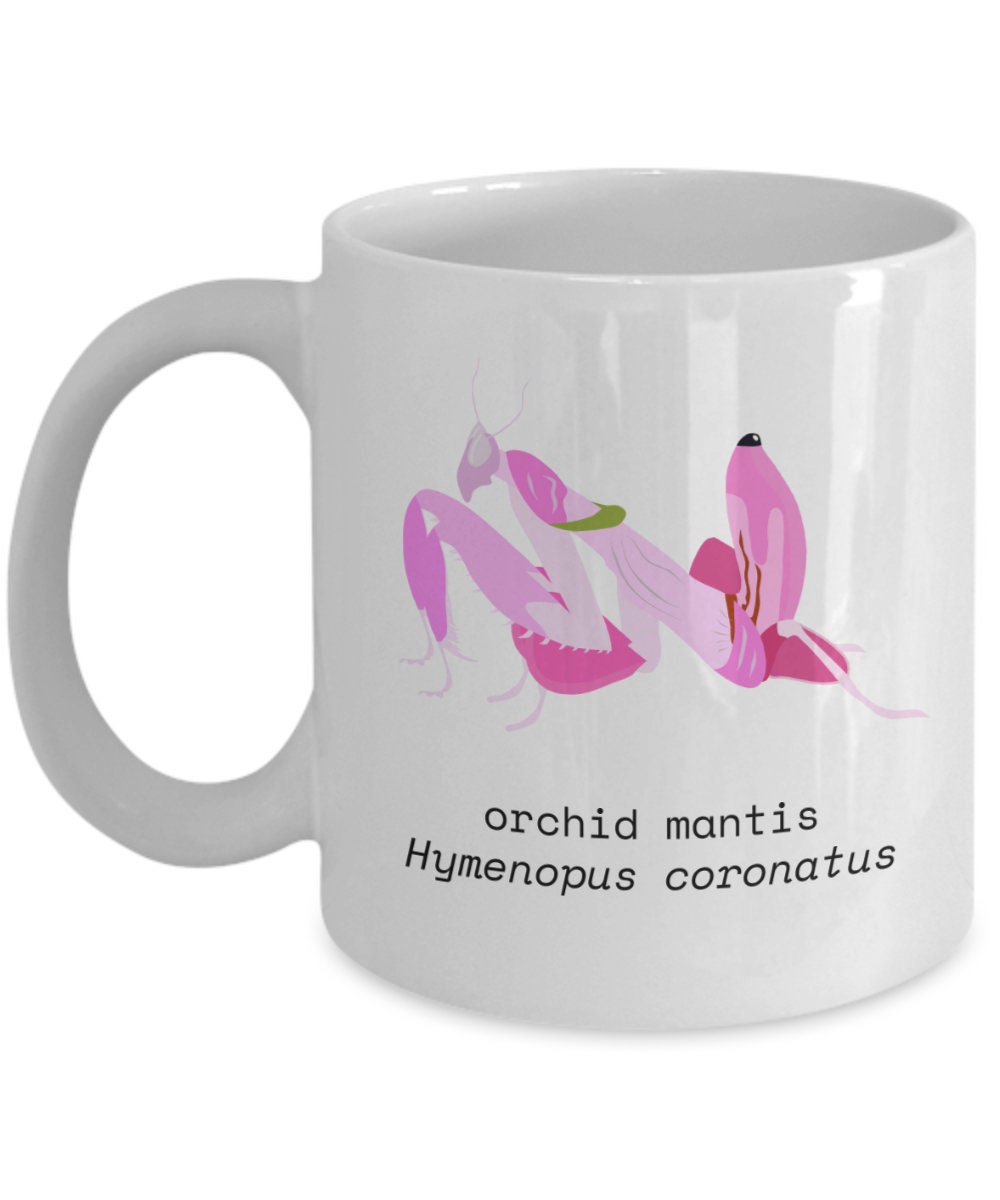 Entomology Coffee Mug Orchid Mantis Mug Insect Collector Gift Entomologist Present Bug Lover Gift Graphic Tee – Everyday Comfort · High-Quality Print