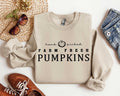 Farm Fresh Pumpkins Crewneck Sweatshirt Pumpkin Truck Shirt Farm Fresh Sweater Fall Lovers Pullover Autumn Gift Pumpkin Patch Jumper Sweatshirt – Cozy Vibes · Trending Graphic Apparel