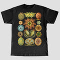Ernst Haeckel 39Ascidiae Seescheiden39 T Shirt Graphic Tee – Premium Graphic · Top Pick For Any Outfit