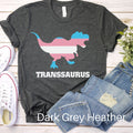 Trans Pride Shirt Transgender Shirt LGBT Shirt Transgender Pride Trans Shirt Equality Shirt LGBTQ Shirt Pride Shirt Gay Shirt Graphic Tee – Cozy Vibes · Must-Have Style