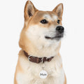 Personalized Pet Tags Custom Dog Tags Cat Tags Cat Collar Tags Cat ID Tags Dog ID Tags Dog Name Tags Pet ID Tag Pet Name Tag Graphic Tee – Easygoing Wear · Trending Graphic Apparel
