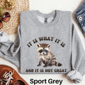 It Is What It Is And It Is Not Great Sweatshirt Raccoon Sweater Funny Raccoon Meme Shirt Trash Panda Sweater Raccoon Gift Funny Shirt Sweatshirt – Warm & Stylish · Perfect For Daily Wear