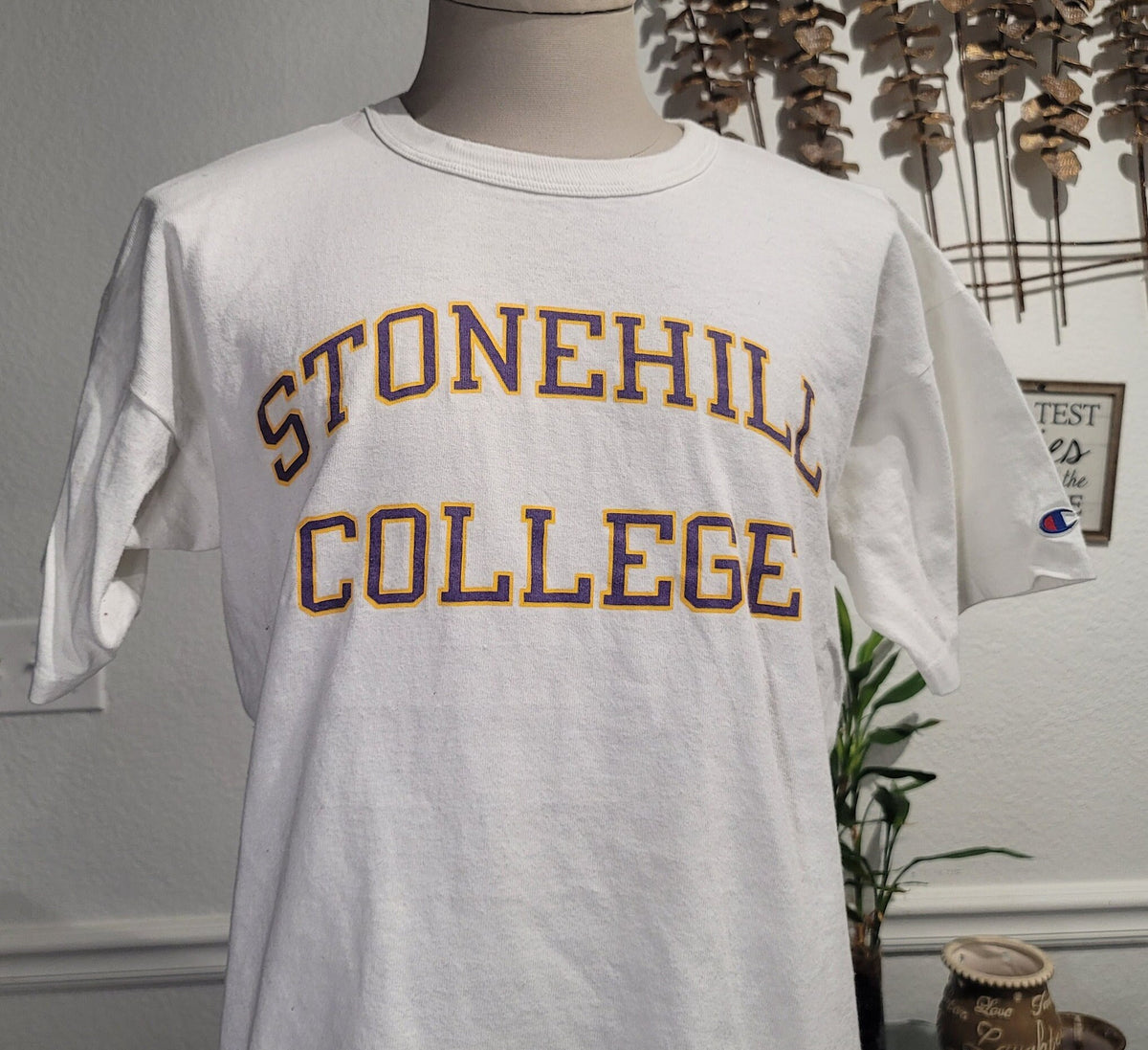 Vintage 90s Stonehill College white Tshirt size XL Graphic Tee – Easygoing Wear · Trending Graphic Apparel