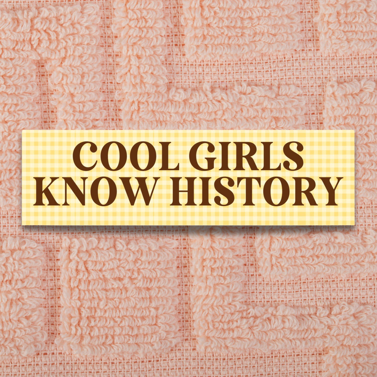 Funny History Lover Sticker for New Driver Cool Girls Know History Silly History Teacher History Major Graduation Gift Social Studies Graphic Tee – Cozy Vibes · Trending Graphic Apparel