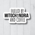 Biology Stickers Anatomy Stickers Science Stickers Laboratory Science Chemistry Sticker Physics Sticker Biologist Sticker Biology Gift Graphic Tee – Feel-Good Design · Top Pick For Any Outfit