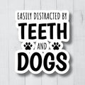 Tooth Sticker Funny Dental Sticker Cute Dentist Sticker Dental Hygienist Sticker Dental Assistant Sticker Dentist Vinyl Stickers Graphic Tee – Feel-Good Design · High-Quality Print