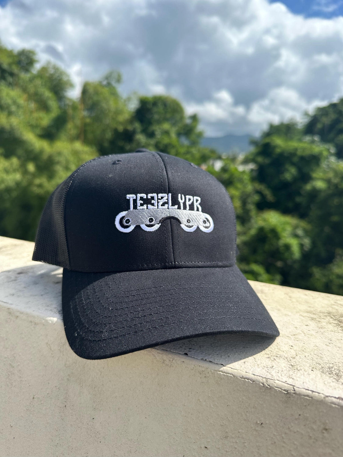 Embroidered Roller blade Hat Flat frame cap Blading Trucker hat Inline Skating hat Rollerblading trucker hat rollerblader gift Graphic Tee – Bold Style · Top Pick For Any Outfit