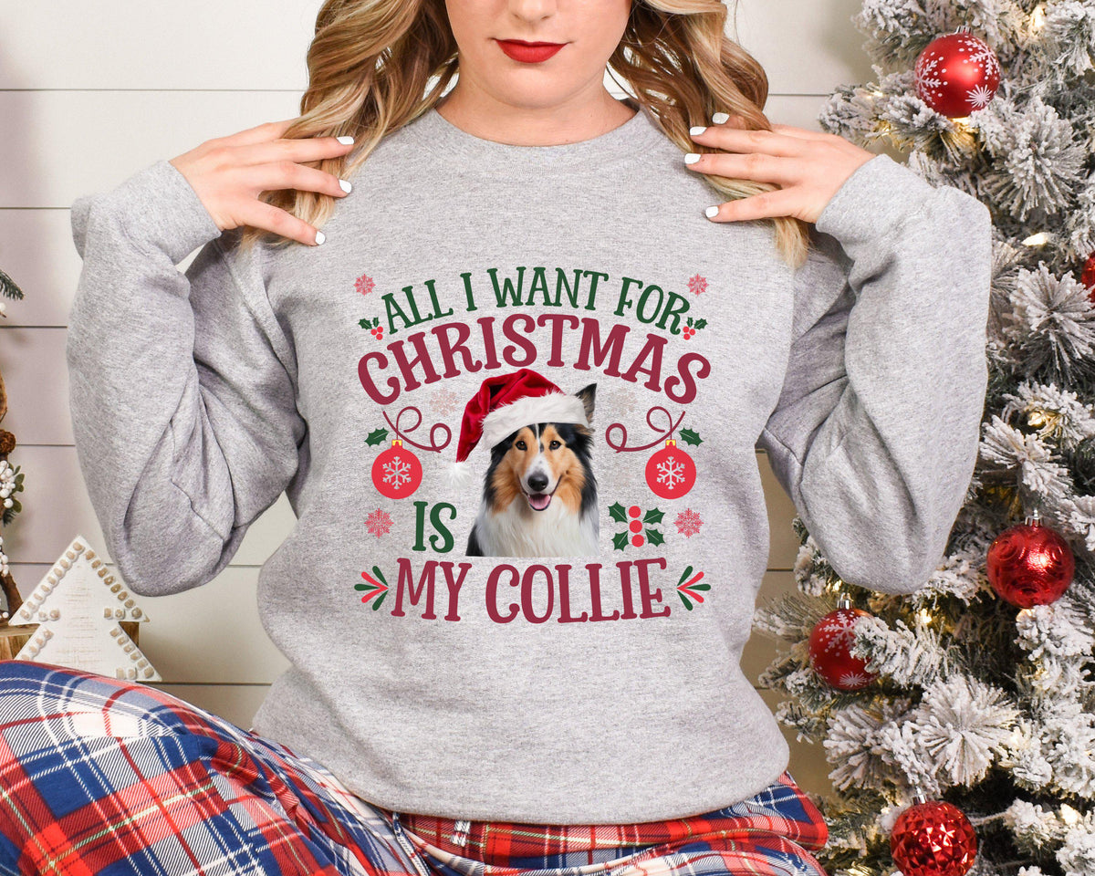 Xmas Sweater Christmas Sweatshirt Festive Sweater For Dog Lover All I Want For Christmas Is My Collie Sweatshirt – Easygoing Wear · Perfect For Daily Wear