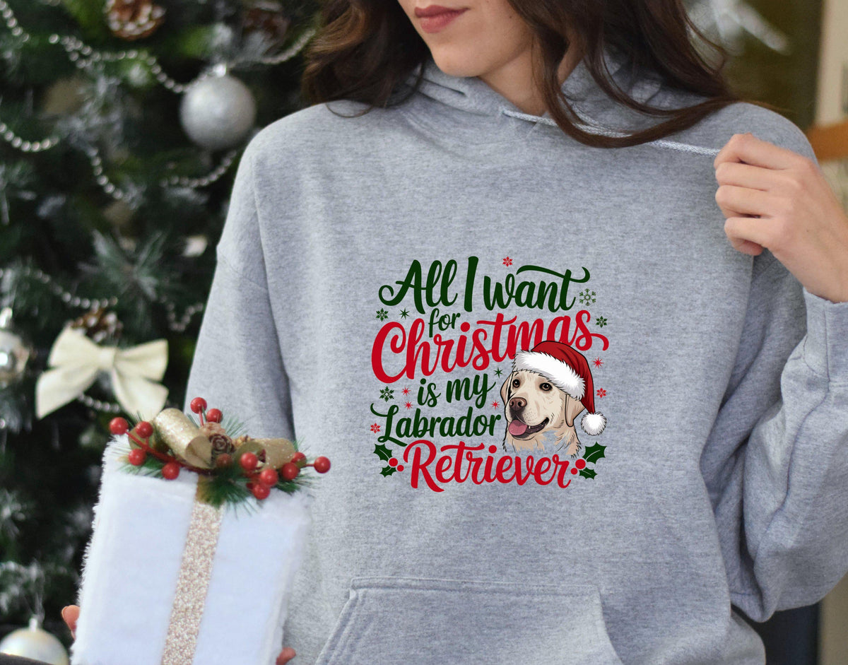 Christmas Dog Lovers Hoodie Xmas Labrador Retriever Hoodie All I Want for Christmas Hoodie Dog Gifts Hoody for Xmas Hoodie – Premium Graphic · Perfect For Daily Wear