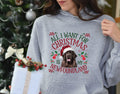 Xmas hoodie Christmas hoody for dog lover dog gifts All I Want for Christmas Is My Newfoundland Christmas dog hoodie gift Hoodie – Everyday Comfort · Must-Have Style