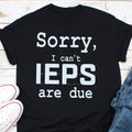 Sorry I Can39t IEPS Are Due T Shirt IEP Shirt Special Education Vintage Shirt Individualized Education Programs Shirt SPED Teacher Shir Graphic Tee – Premium Graphic · Trending Graphic Apparel
