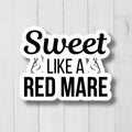 Funny Horse Sticker Horse Stickers Gift for Equestrians Horse Gifts Gifts For Horse Lover Cute Horse Vinyl Decal Horse Riding Stickers Graphic Tee – Cozy Vibes · Must-Have Style
