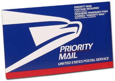 USPS Express Overnight Shipping Graphic Tee – Easygoing Wear · Trending Graphic Apparel