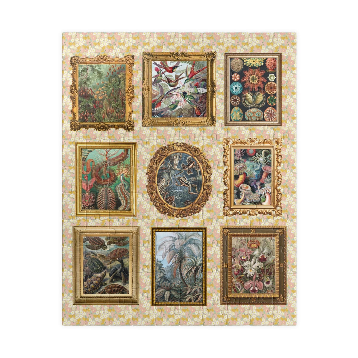 Ernst Haeckel German Art History Puzzle for Marine Biologist or Zoologist 19th Century Historic Illustration Puzzle for Science Teacher Graphic Tee – Soft Feel · Perfect For Daily Wear