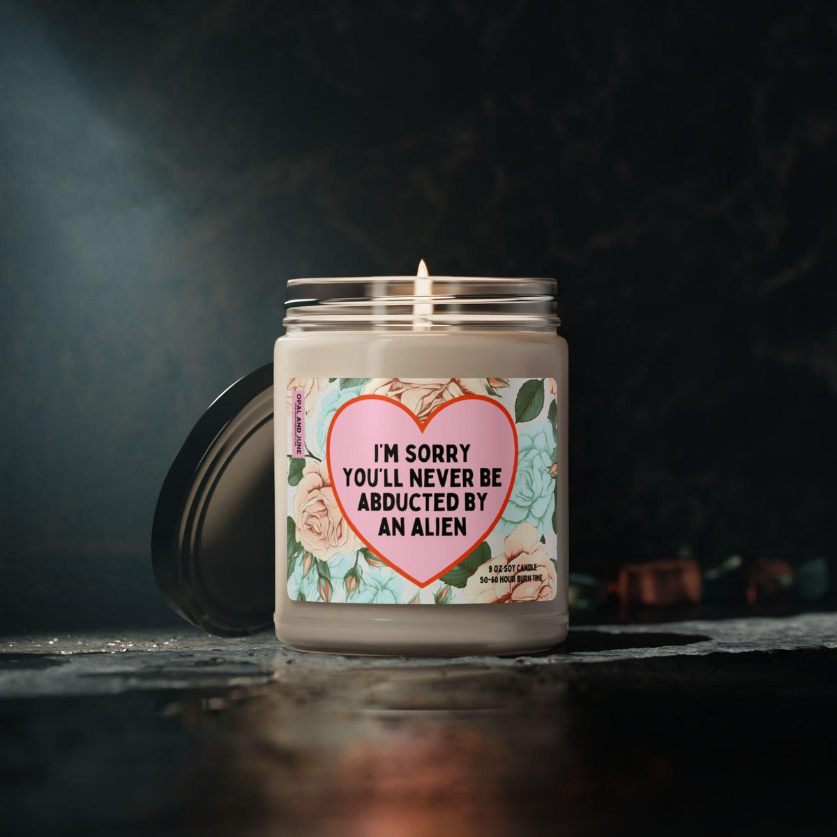 Funny Book Lover Gift Idea Friend Who Loves Alien Romance Novels I39m Sorry You39ll Never Be Abducted By an Alien 9 Oz Soy Bookish Candle Graphic Tee – Premium Graphic · High-Quality Print